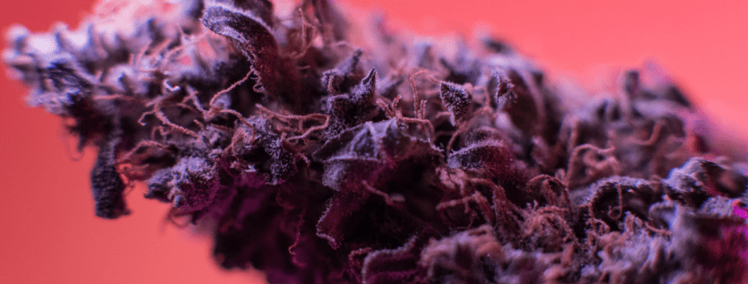 Cannabinoids in Weed