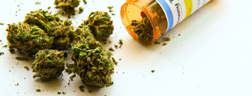 Marijuana for Seniors