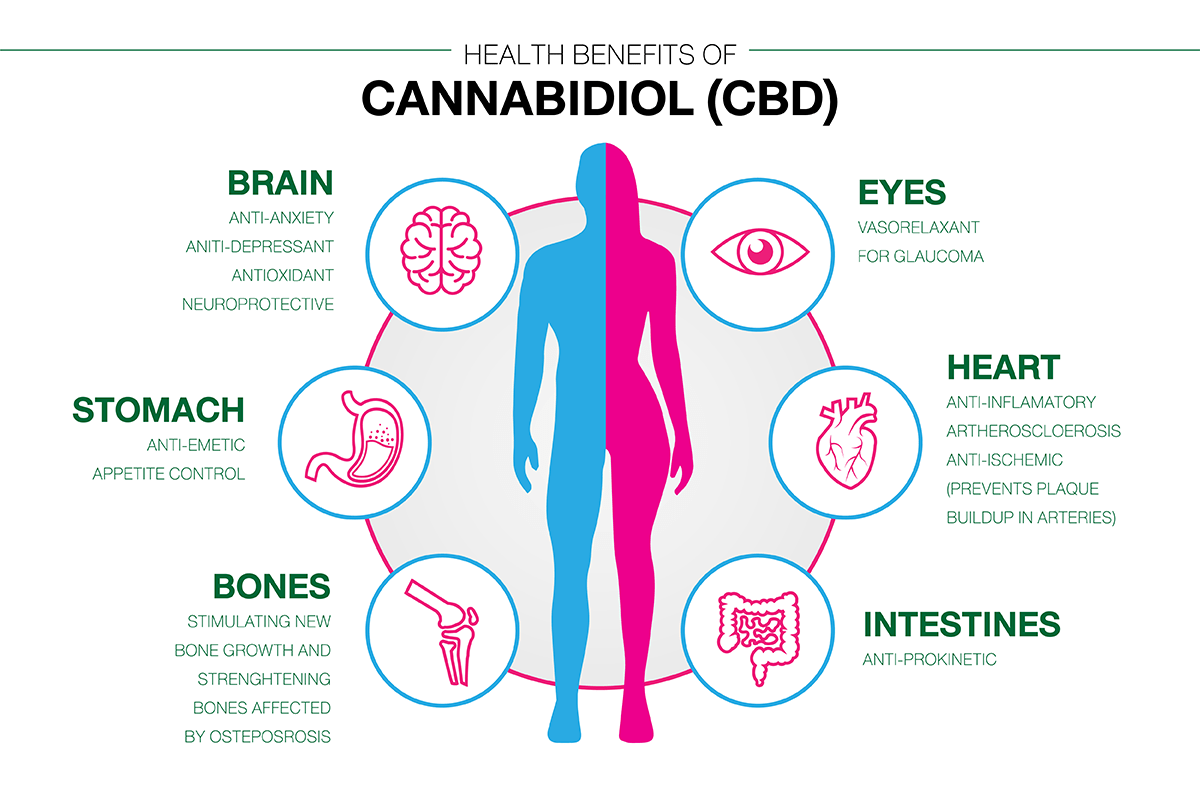 effects and health beneifts of cbd infographic