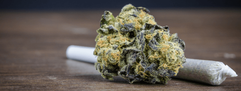 Highest THC Weed Strains