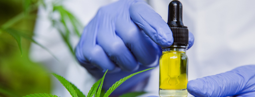 Choosing the Right CBD Oil For You 