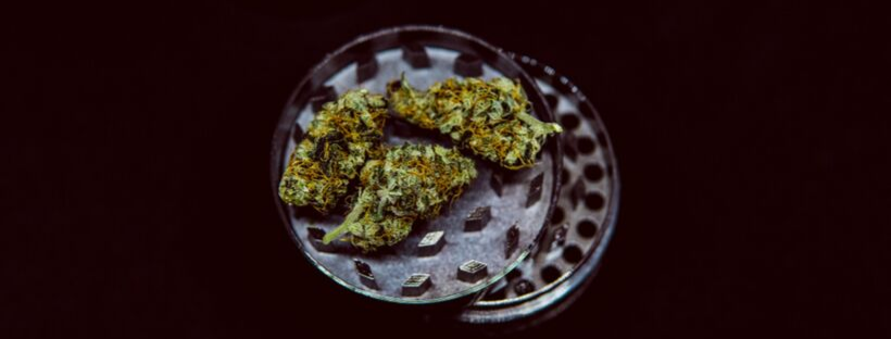 Strongest Cannabis Strains 