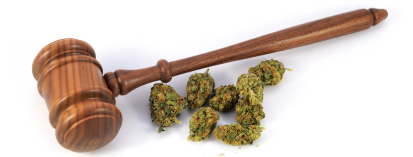 Marijuana Growing Laws